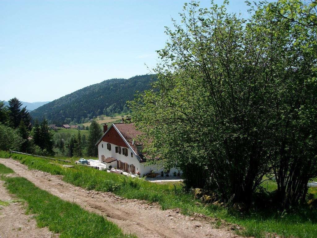 Appartement La Timoniere Gérardmer Exterior foto