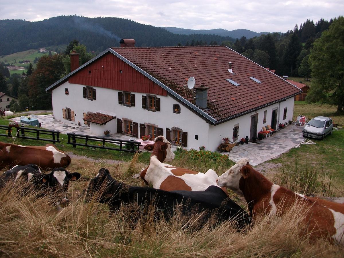 Appartement La Timoniere Gérardmer Exterior foto