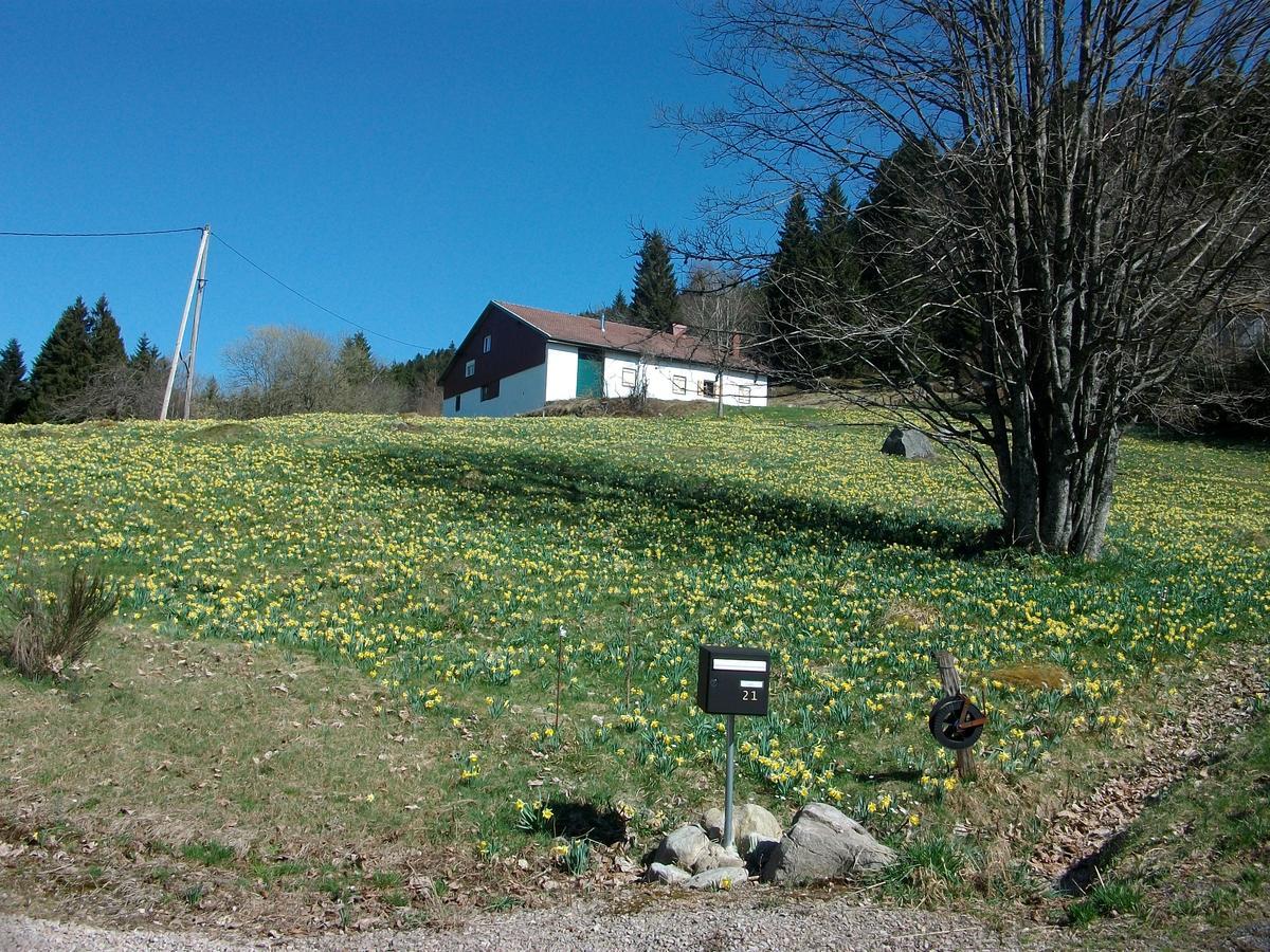 Appartement La Timoniere Gérardmer Exterior foto